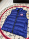 Canada Goose  197