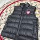 Canada Goose 232