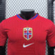 JERSEYS Norway 25-26 home player version S-XXL | 819