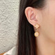 LV Earrings | 804