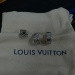 LV Earrings | 953