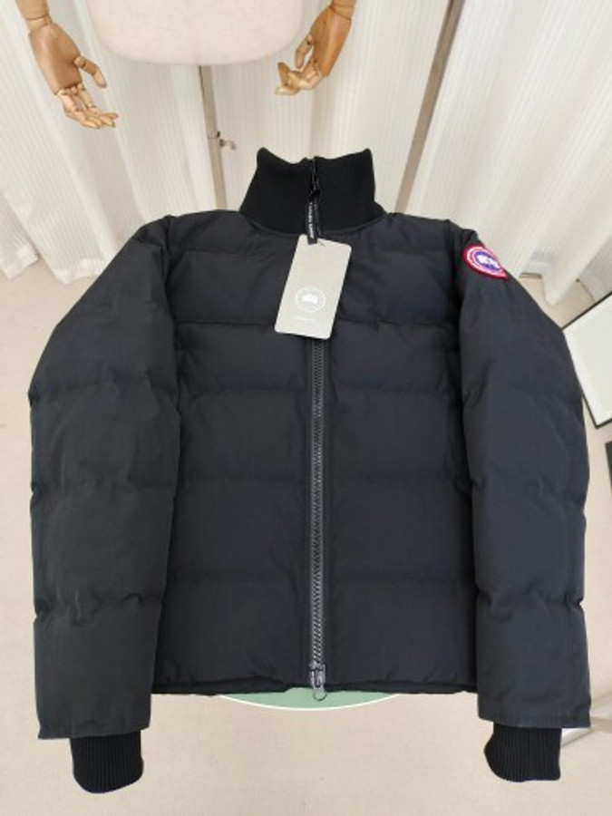 Canada Goose  291