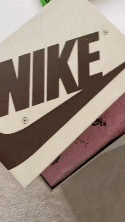 Travis Scott Jordan GIF