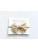 Harp Angel Boutique Cream Chiffon Knot Bow Headband