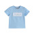 Lil Cactus Light Blue Easter Smocked T-Shirt and Shorts Set -- Chicks and Bunnies