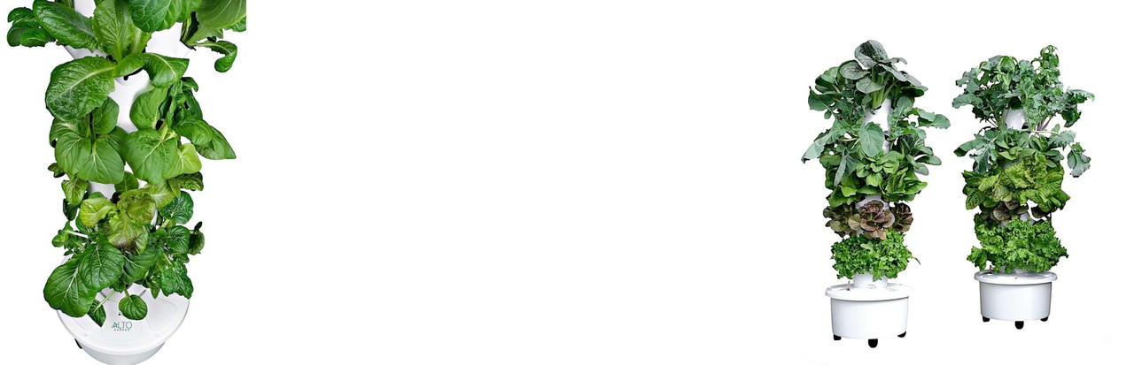 Hydroponic garden towers for vertical farming with leafy greens for sustainable gardening