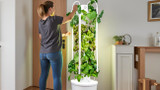 How Much Space Do You Need When Planting a Tower Garden?