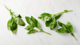 How To Grow Herbs Indoors Using a Grow Tower