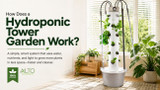 Hydroponic Tower Garden: Best Way to Grow Fresh Food at Home