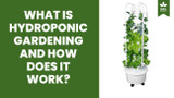 What Is Hydroponic Gardening And How Does It Work?