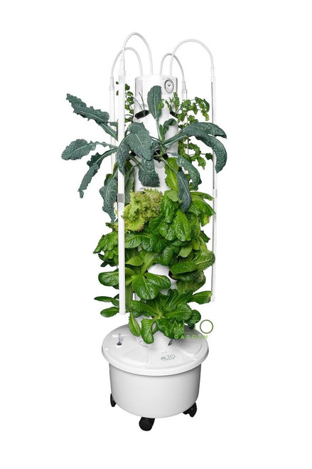 hydroponic grow tower with kale