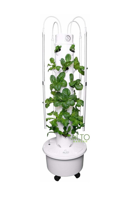 hydroponic grow tower with romaine lettuce hydroponic grow tower with romaine lettuce