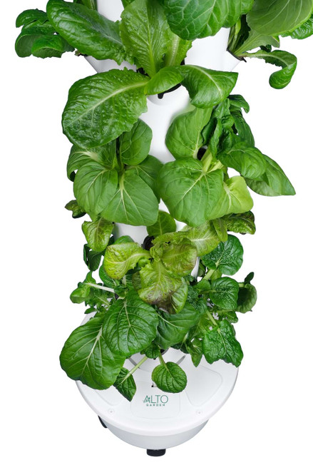 garden tower close up with leafy greens