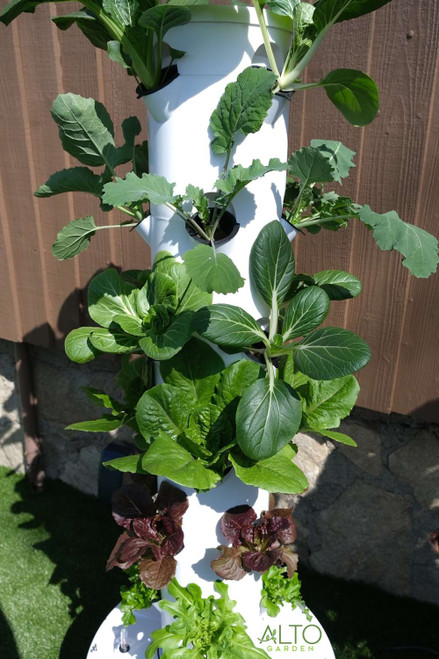 garden tower close up with bok choy, lettuce, tatsoi cabbage and kale
