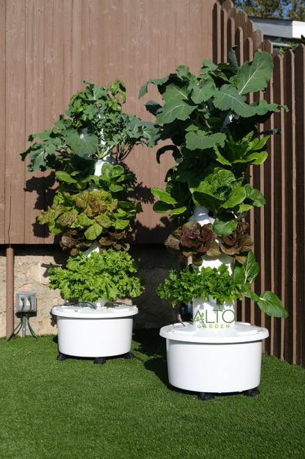 two garden towers with lettuce, kale and other greens
