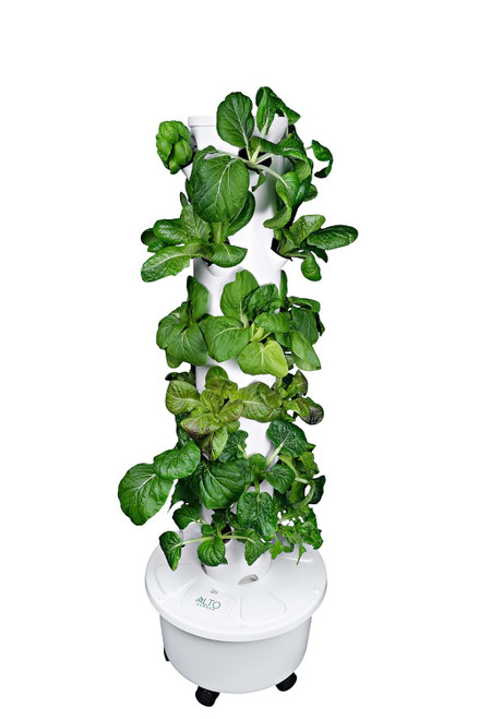 garden tower with bok choy, lettuce and tatsoi cabbage