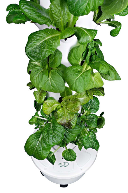 garden tower close up with leafy greens