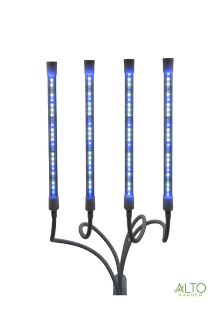 seedling grow light blue 450 nanometers wavelength