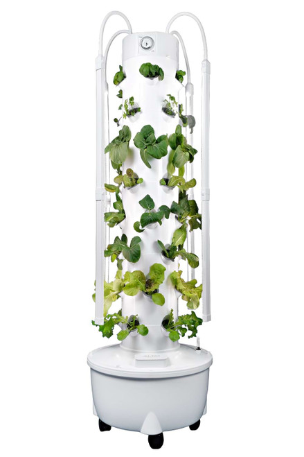 aeroponic tower garden with seedlings
