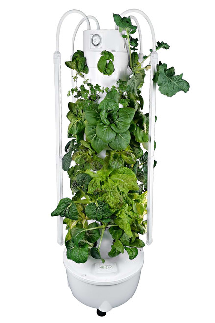 aeroponic tower garden with leafy greens