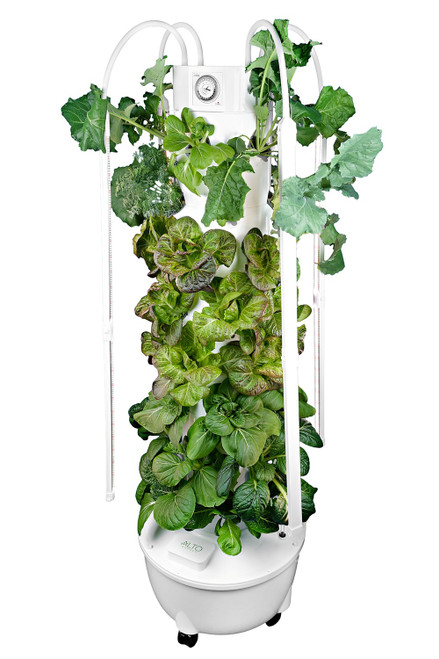 aeroponic tower garden with leafy greens