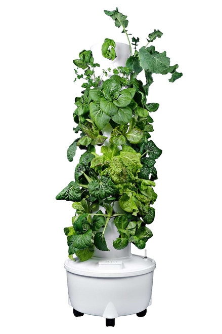 vertical garden tower main