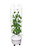 hydroponic grow tower with romaine lettuce hydroponic grow tower with romaine lettuce