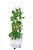 hydroponic grow tower with leafy greens