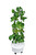 garden tower with bok choy, lettuce and tatsoi cabbage
