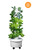 garden tower main