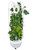 aeroponic tower garden with leafy greens