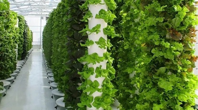 hydroponic tower 