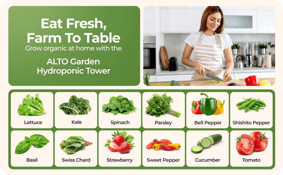 plants you can grow with aeroponic towers include lettuce, spinach and basil