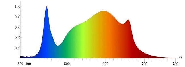 lighting spectrum for plants