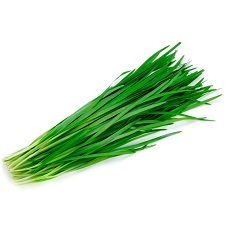 Chives