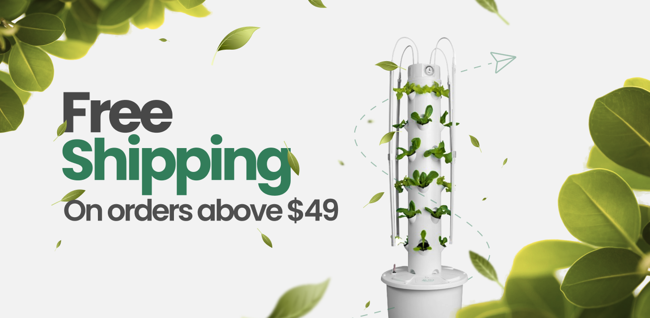 Free Shipping Banner