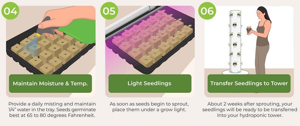 illustration how to germinate step 4 maintain moisture and temperature step 5 led light 6 transfer seedling to hydroponic tower