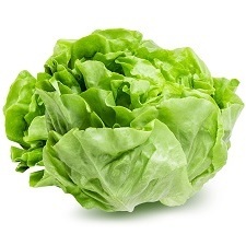 Lettuce