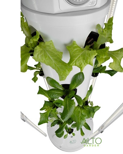tower garden plant growth