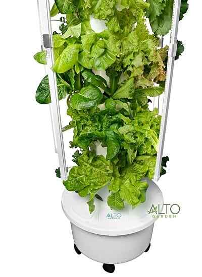 tower garden plant growth