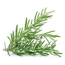 Rosemary