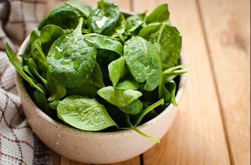 hydroponic spinach in a bowl