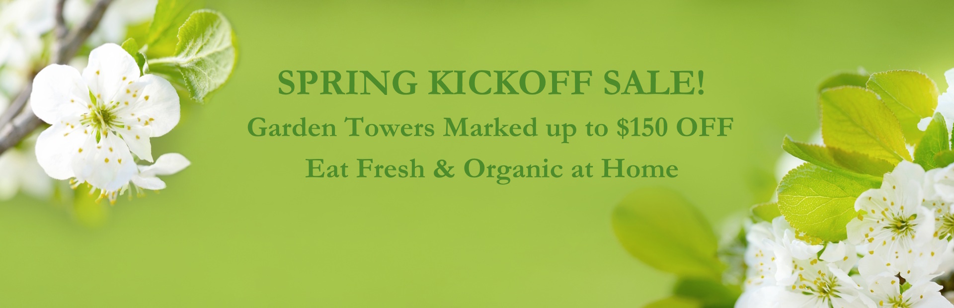 Promotional Banner for Autumn