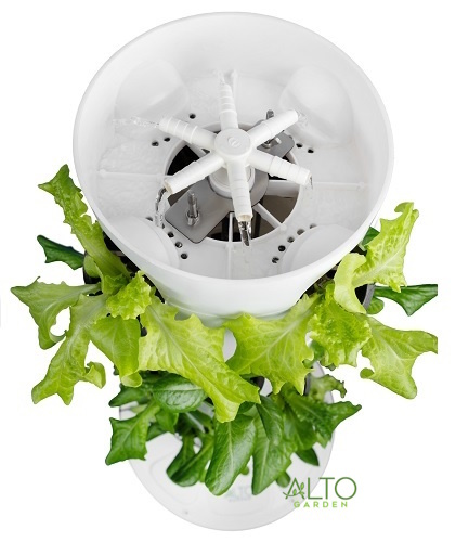 hydroponic watering