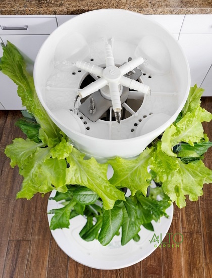 hydroponic watering