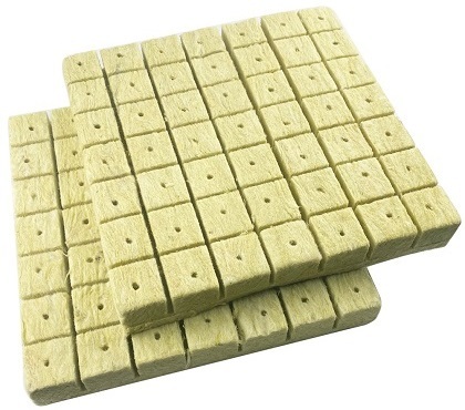 rockwool cubes for hydroponics