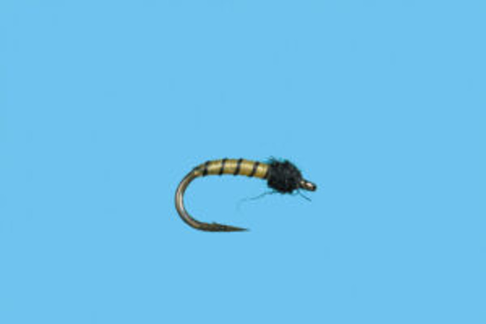 Sidewinder Midge