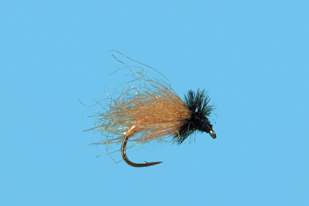 Caddis - Swingin'