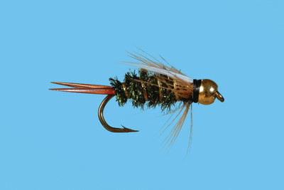 Tungsten Prince Nymph