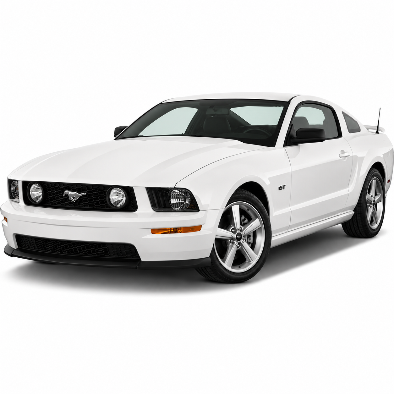 05-09 Mustang GT/SVT
